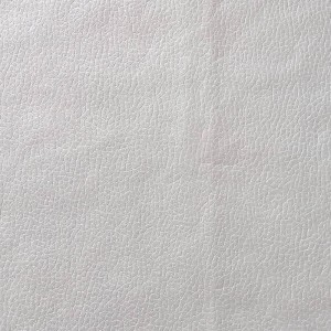 Série en cuir imitation de technologie BNT1936